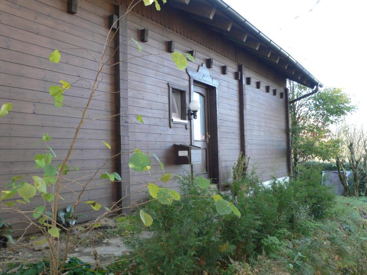 Ferienwohnungen Waldblick Waldmuenchen Exterior photo