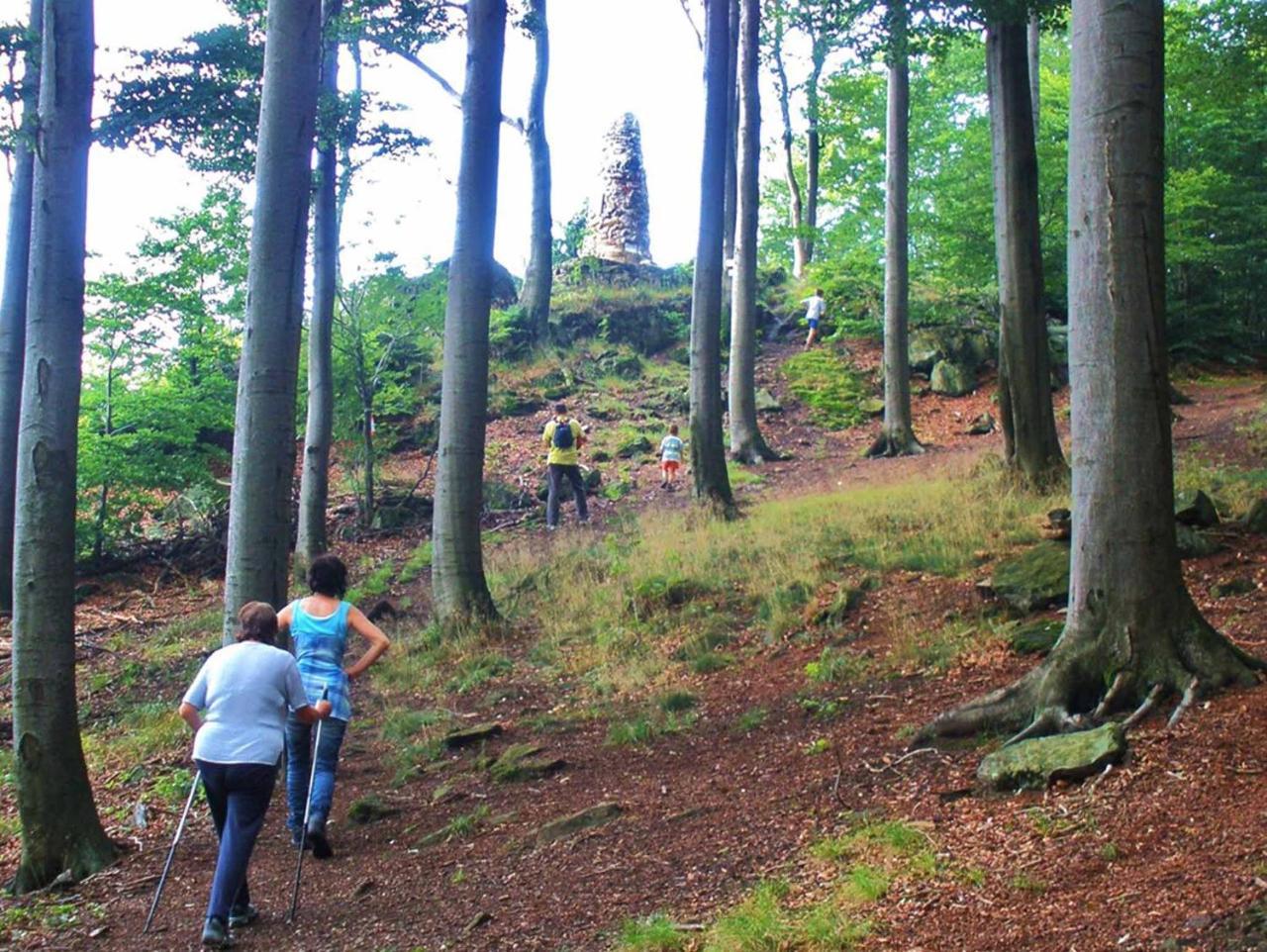 Ferienwohnungen Waldblick Waldmuenchen Exterior photo